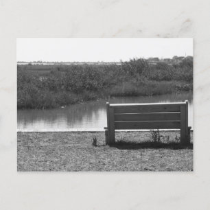 Bench by river black and white picture postcard