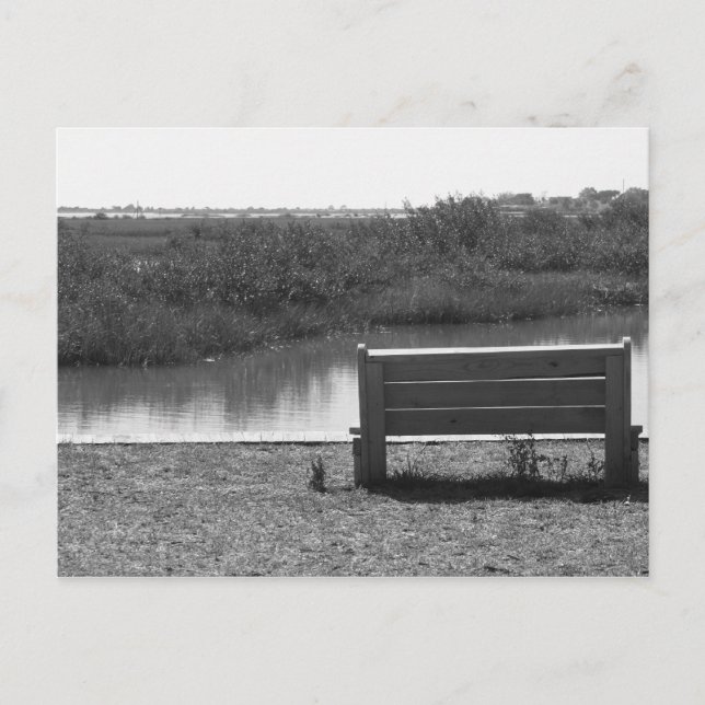 Bench by river black and white picture postcard (Front)