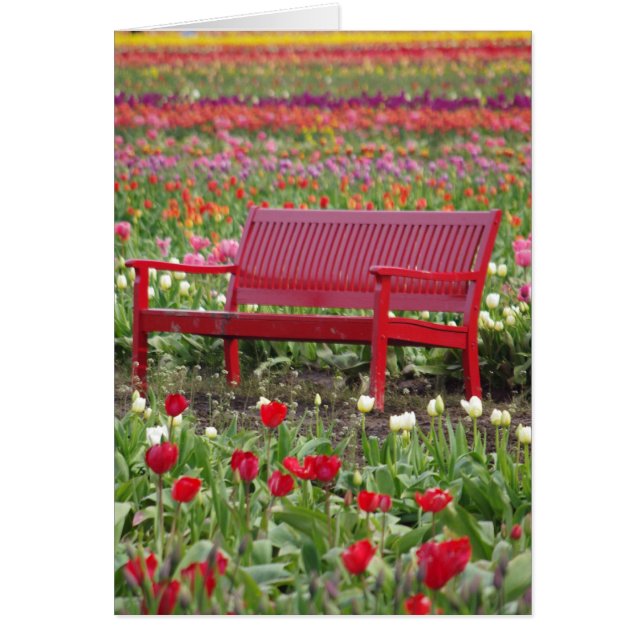 Bench in a Field (Front)