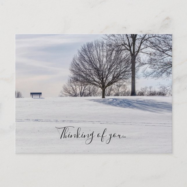 Bench On Snow Covered Hill Thinking Of You Postcard (Front)