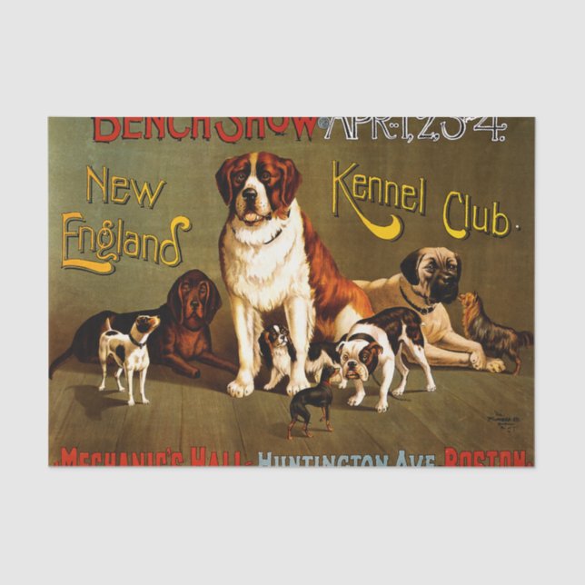 Bench Show. New England Kennel Club Tissue Paper (Front)