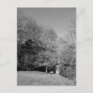 Bench Under Tree Postcards