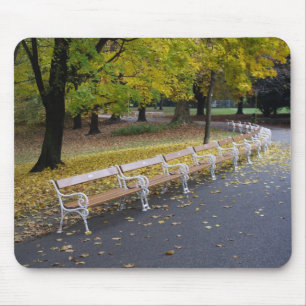Benches Mouse Mat