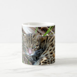 Bengal Cat 005 Coffee Mug