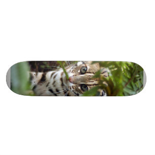 Bengal Cat 022 Skateboard