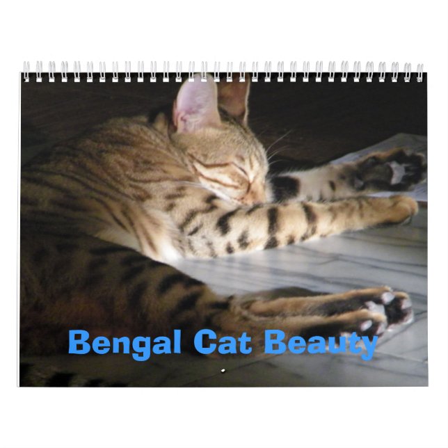 Bengal Cat Beauty Calendar (Cover)