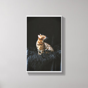 Bengal-cat Canvas Print