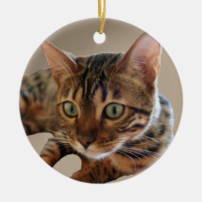 Bengal Cat Ceramic Tree Decoration (Front)
