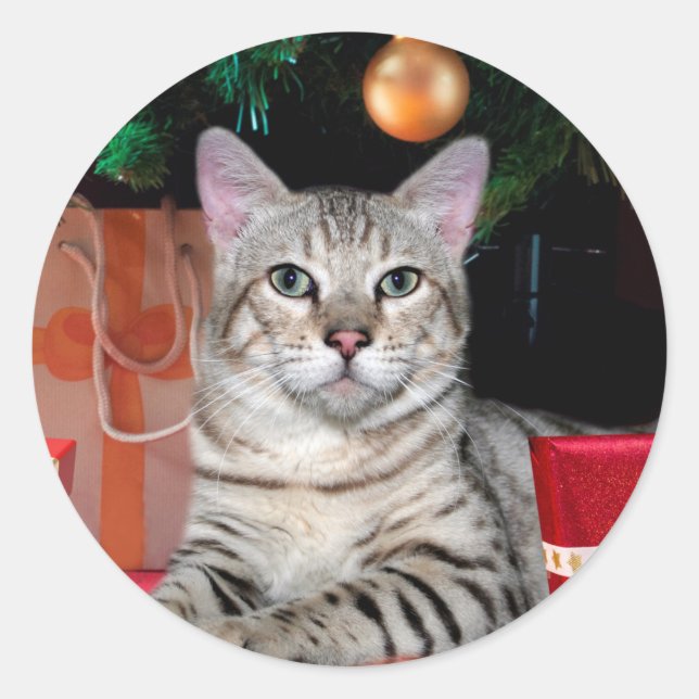 Bengal Cat Christmas Classic Round Sticker (Front)