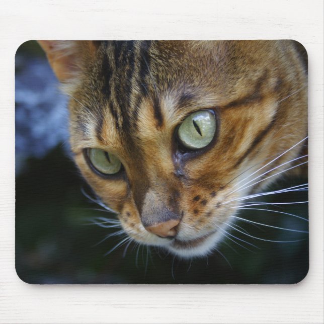 Bengal Cat Close-Up Mouse Mat (Front)