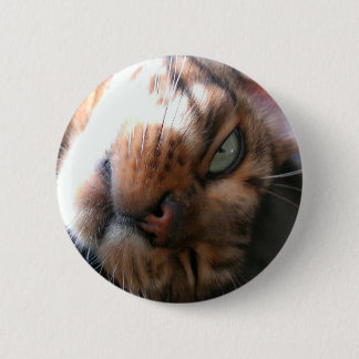 Bengal cat crazy 6 cm round badge