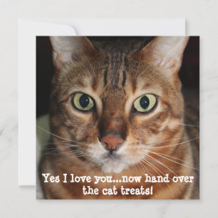 Bengal Cat Face Photograph "Yes I love you...." Holiday Card