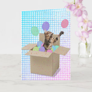 Bengal cat in box birthday card