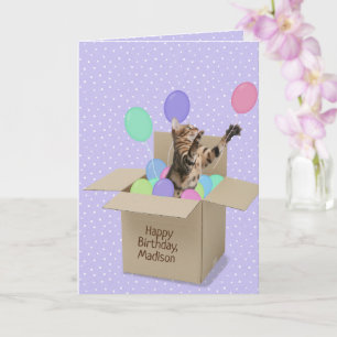 Bengal cat in box on polka dot card