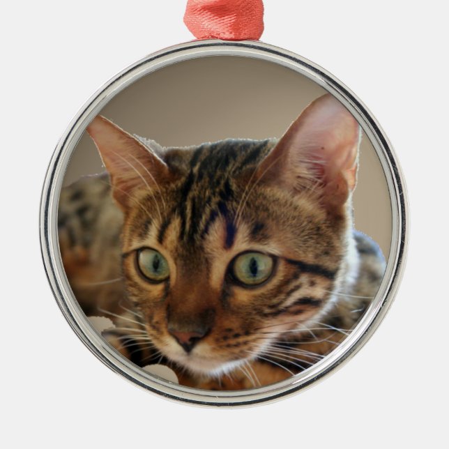 Bengal Cat Metal Tree Decoration (Front)