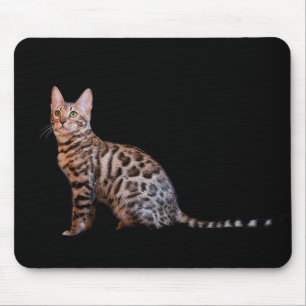 Bengal cat mouse mat