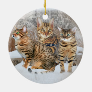 Bengal Cat Ornaments