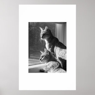 Bengal Cat Stalk Poster