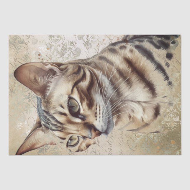 Bengal Cat Tissue Paper (Front)