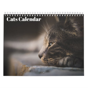 Bengal Cats 2026 Calendar