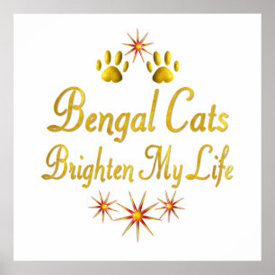 Bengal Cats Brighten My Life Poster