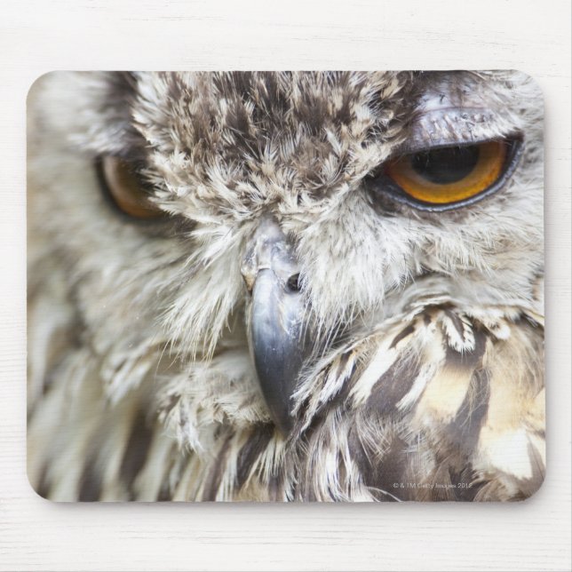 Bengal Eagle Owl Mouse Mat (Front)