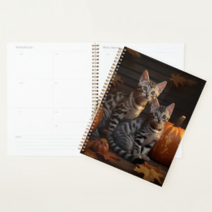 Bengal Kitten Autumn Delight Pumpkin  Planner