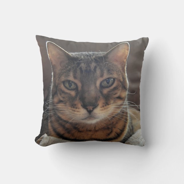 Bengal Love Cushion (Front)