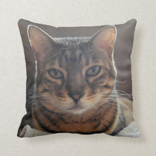 Bengal Love Cushion