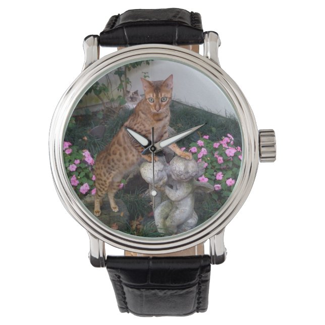 Bengal on statue watch (Front)