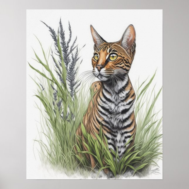 Bengal Pet Cat Poster (Front)