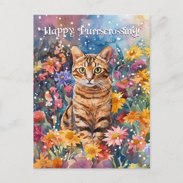 Bengal Postcrossing - Postcard (Front)