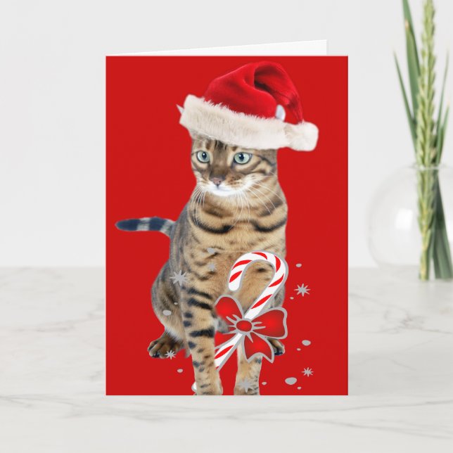 Bengal Santa gifts Holiday Card (Front)