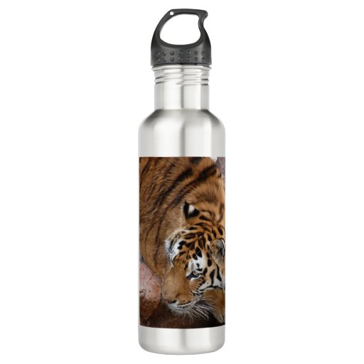 Image of Bengal Tiger 710 Ml Water Bottle