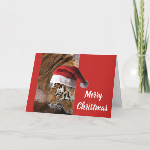 Bengal Tiger anta Claus Card