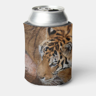 Bengal Tiger Can Cooler