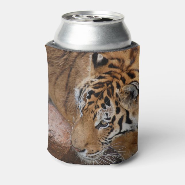 Bengal Tiger Can Cooler (Can Back)