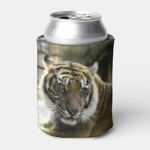 Bengal Tiger Can Cooler