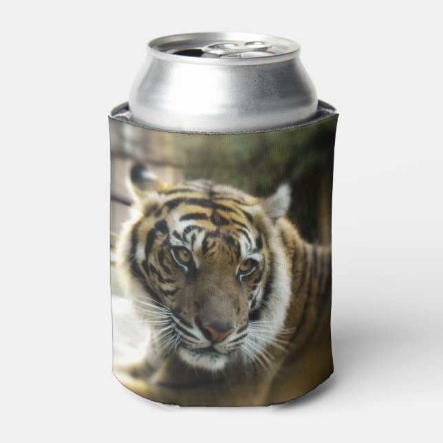 Bengal Tiger Can Cooler (Can Front)