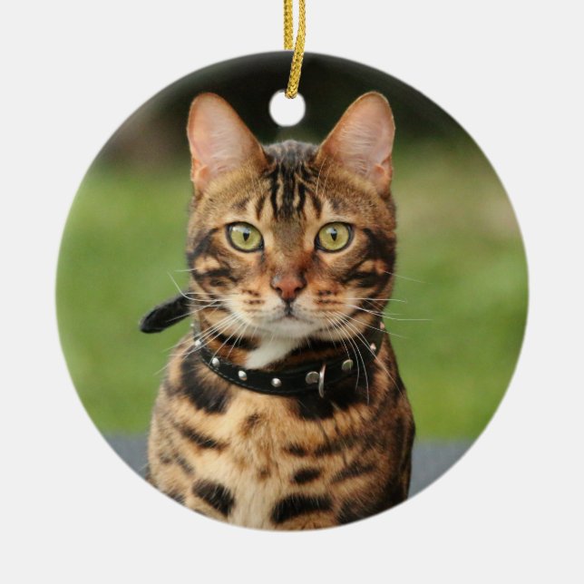 Bengal Tiger Cat Ceramic Tree Decoration (Front)