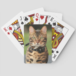 Bengal Tiger Cat Playing Cards