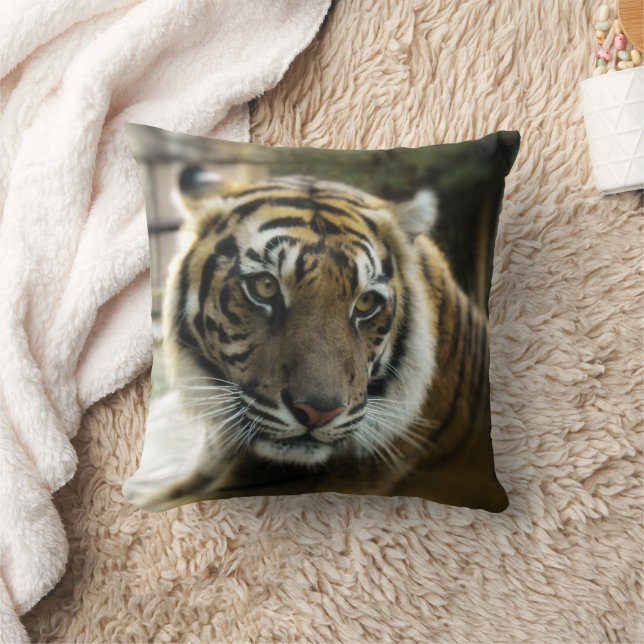 Bengal Tiger Cushion (Blanket)