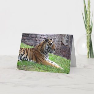 Bengal Tiger Greeting Card