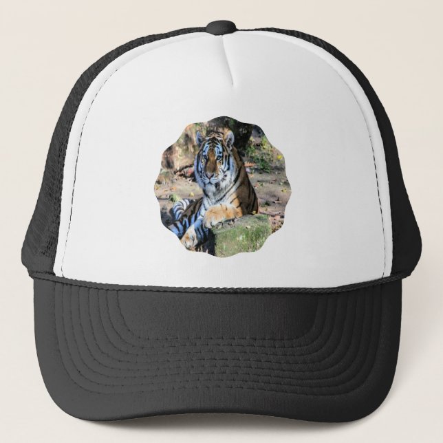 Bengal Tiger in Sunlit Meadow Trucker Hat (Front)