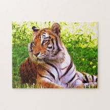 Bengal Tiger in the Grass Puzzle