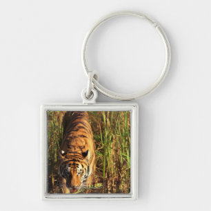 Bengal tiger in wetlands key ring