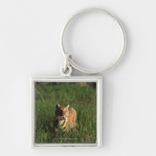 Bengal tiger key ring