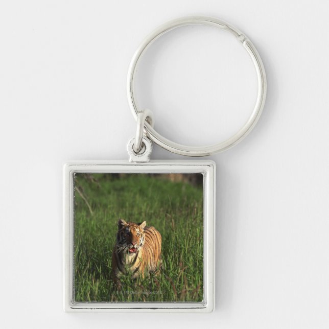 Bengal tiger key ring (Front)