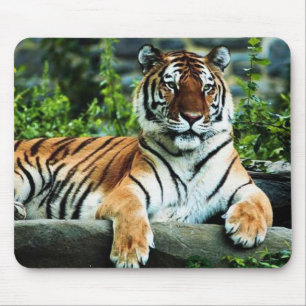 bengal tiger mouse mat