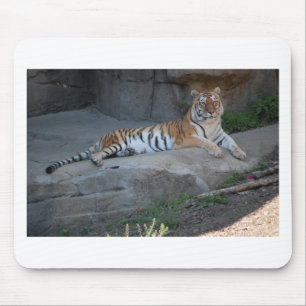 Bengal Tiger Mouse Mat